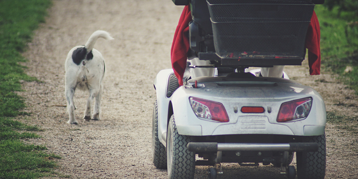 Five Lessons You Can Learn From Mobility Scooter